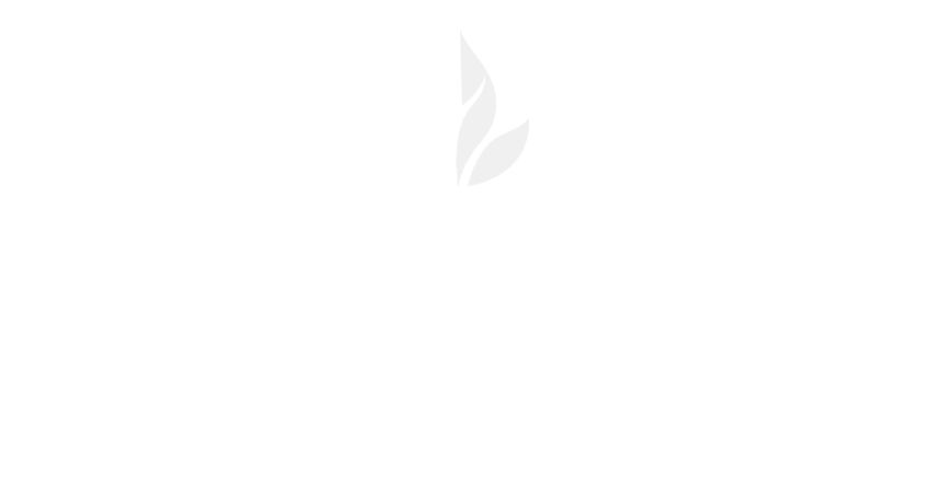 CASTILLO - Plastic Surgery
